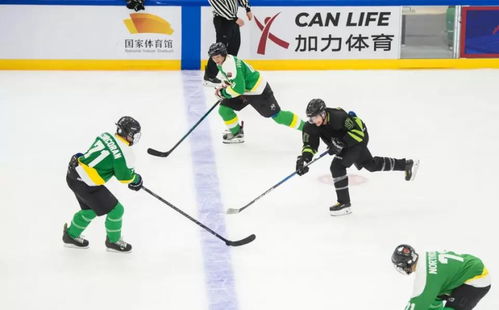 相约冰球比赛在国家体育馆开打 用热爱为中国冰球 破冰